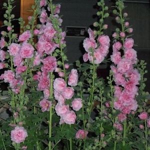 Meet your Posher, Lydia